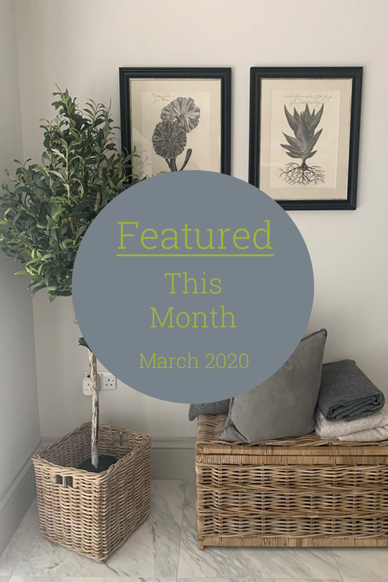 Featured This Month March