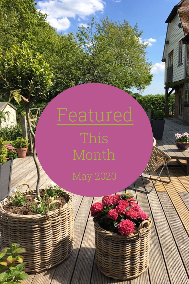 Featured This Month | May