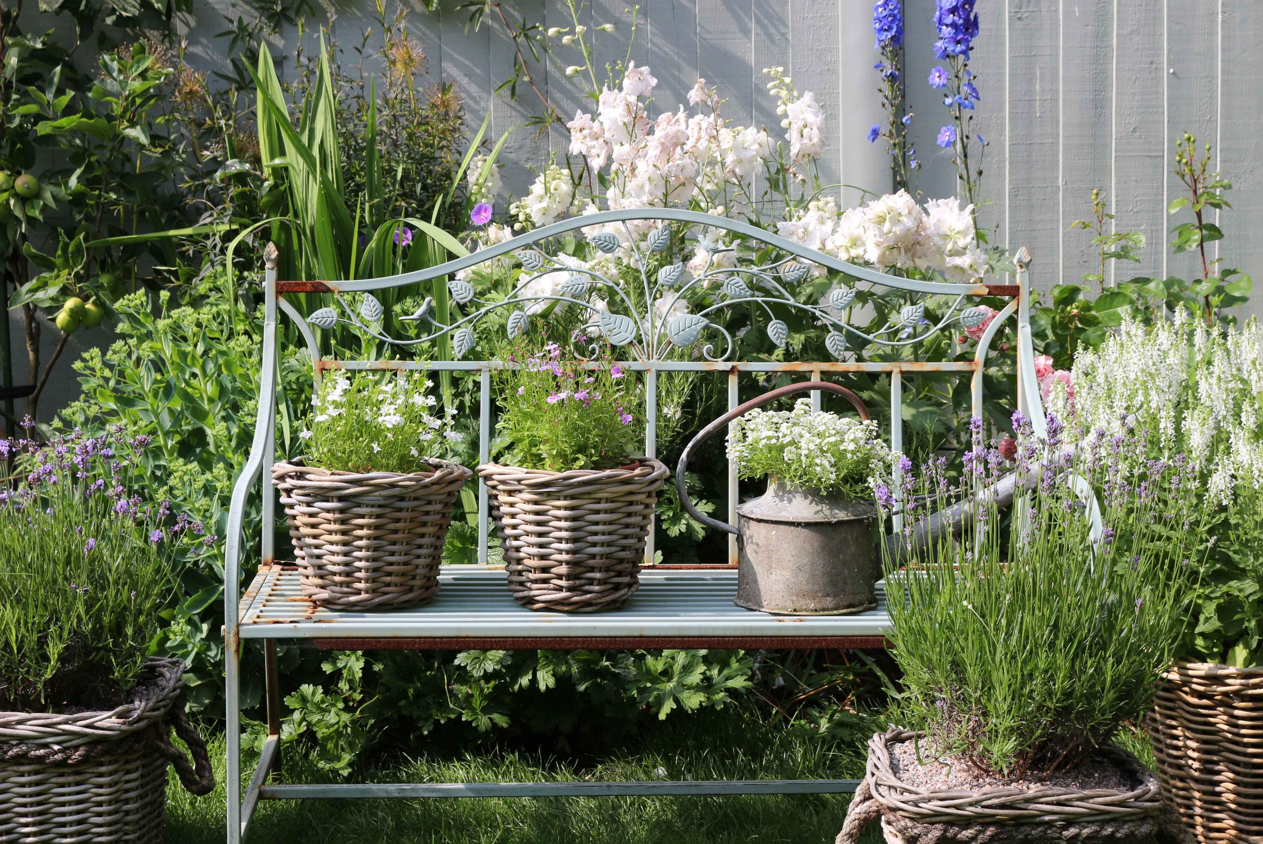 The Importance Of Gardening For Health & Wellbeing