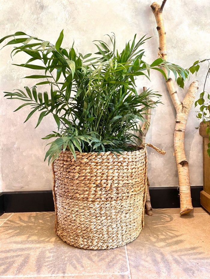 Batu Water Hyacinth Basket | The Basket Company
