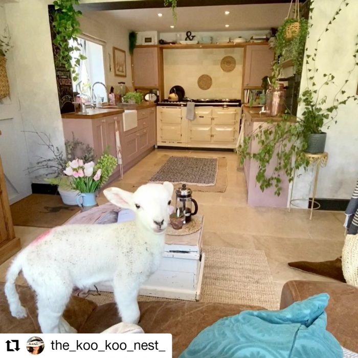 The Koo Koo nest