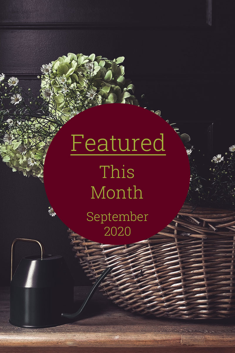 Featured This Month | September 2020 | The Basket Company
