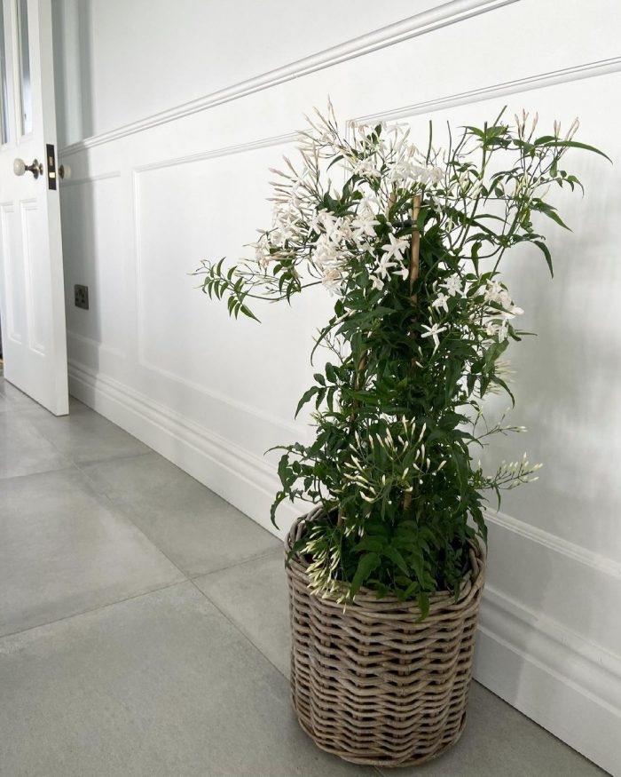 Grey & Buff Rattan Wicker Planters | The Basket Company