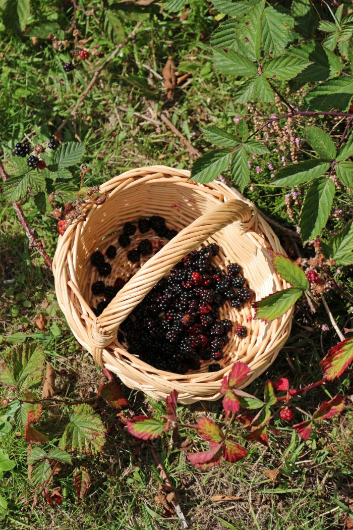 Wicker Garden Trugs & Baskets