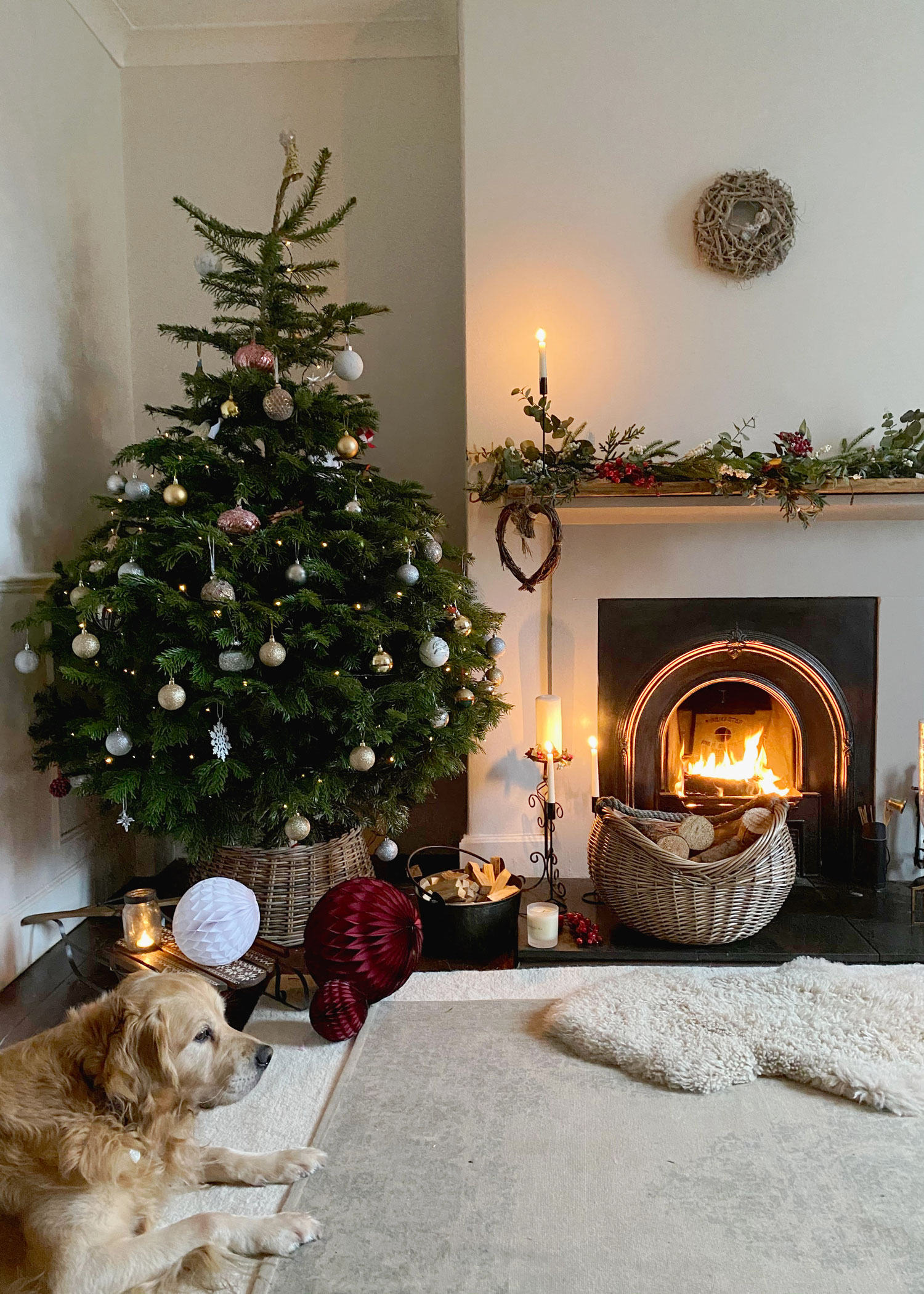 Cosy Christmas living room with a real tree in a wicker tree skirt, warm fire, and golden retriever relaxing on a soft rug.