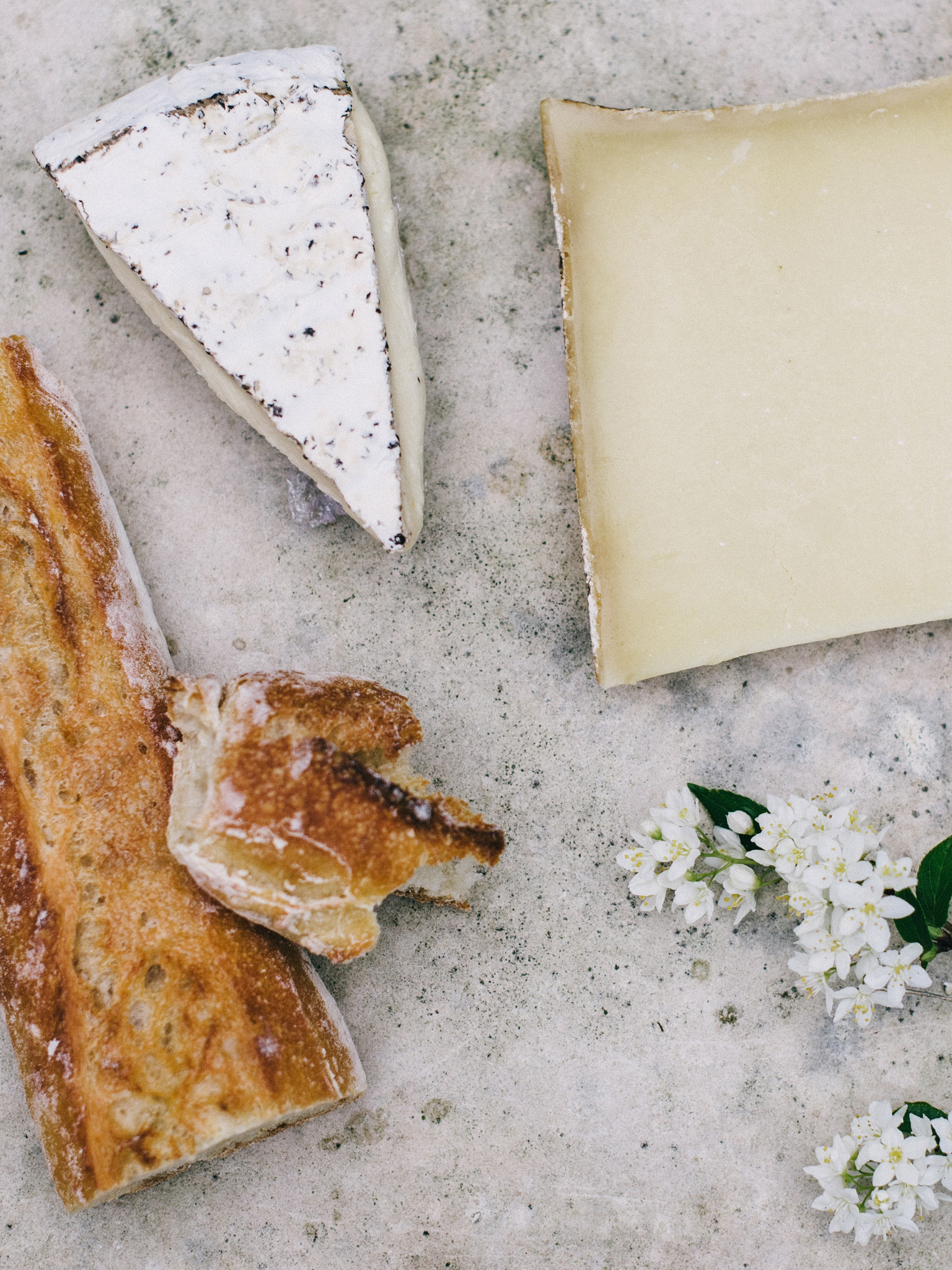 Selection of artisan cheeses and rustic bread arranged on a stone surface with delicate white flowers.