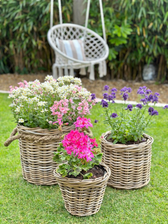 Grey & Buff Rattan Wicker Planters