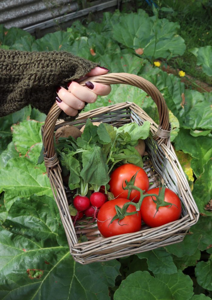 Wicker Garden Trug Collection
