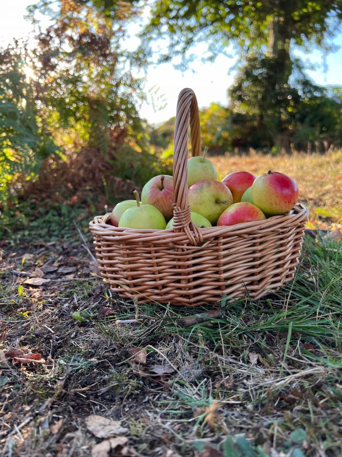 Wicker Garden Trugs & Baskets