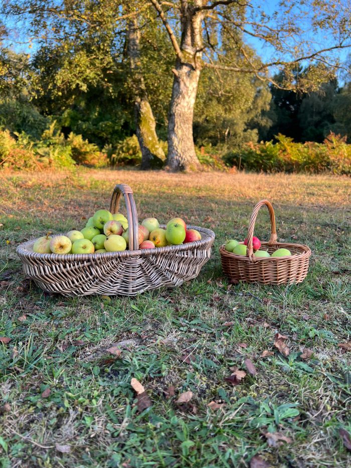 Wicker Garden Trugs & Baskets