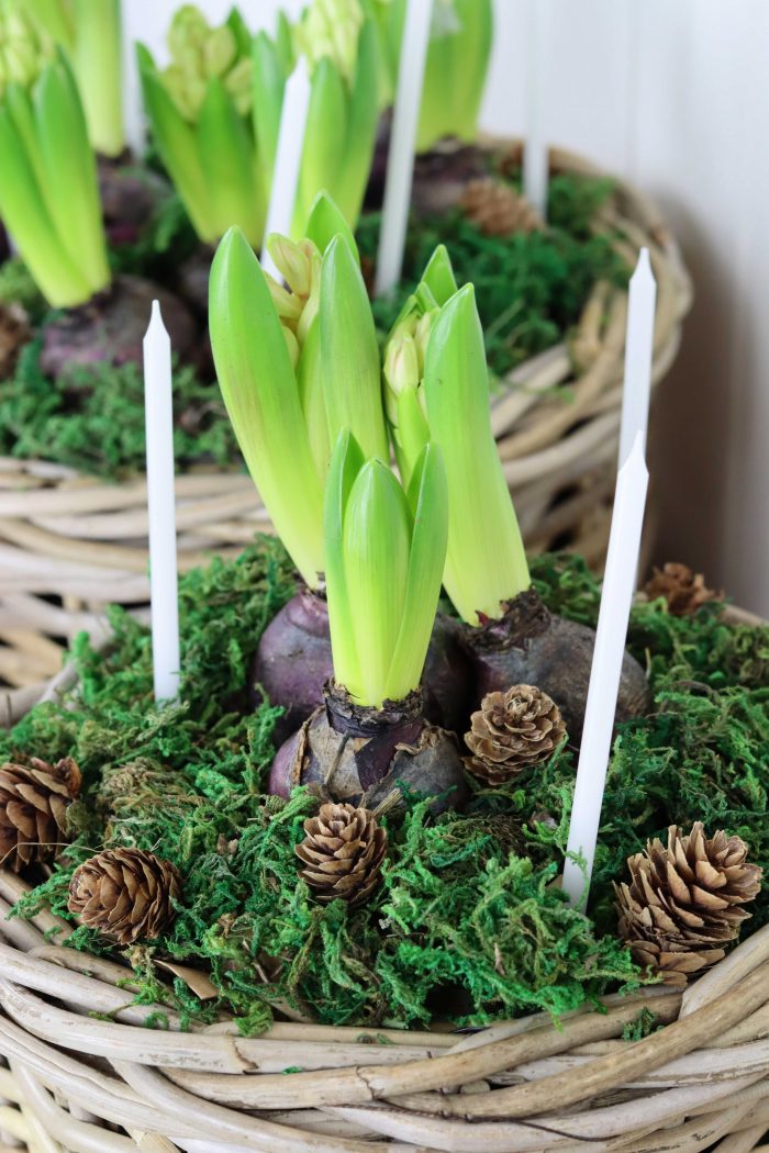 Grey & Buff Rattan Round Wicker Shallow Planter