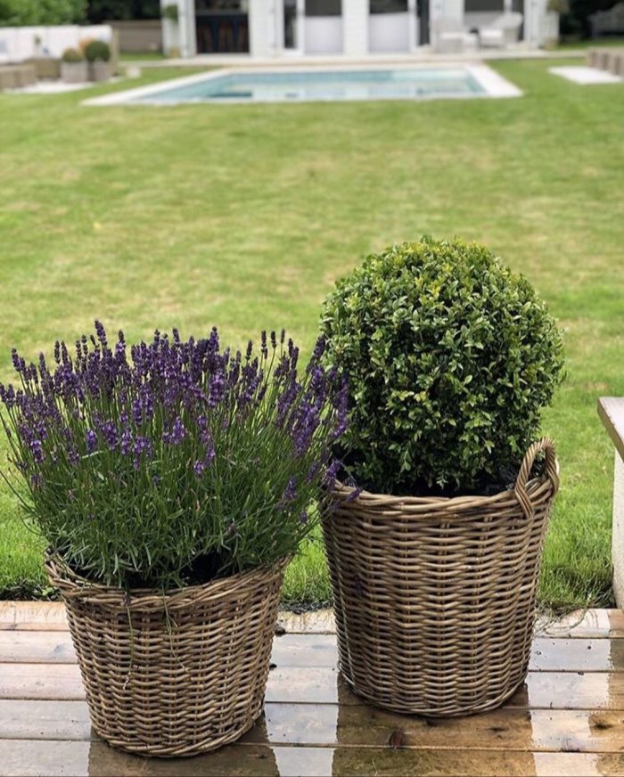 Grey and Buff Rattan Wicker Planters Outside