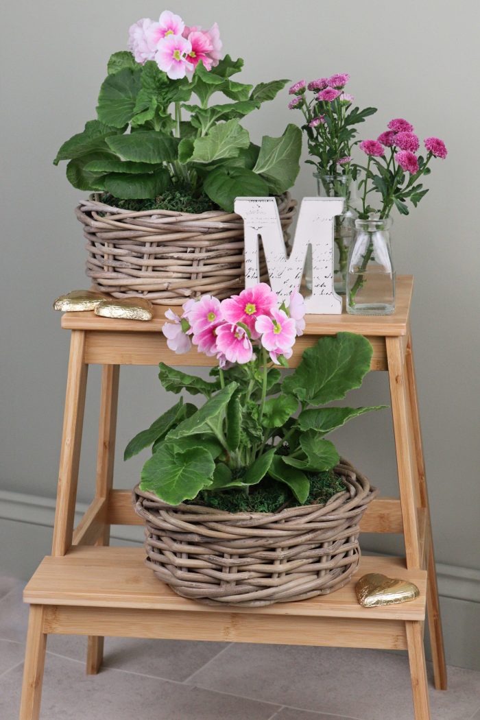 Grey & Buff Rattan Wicker Planters