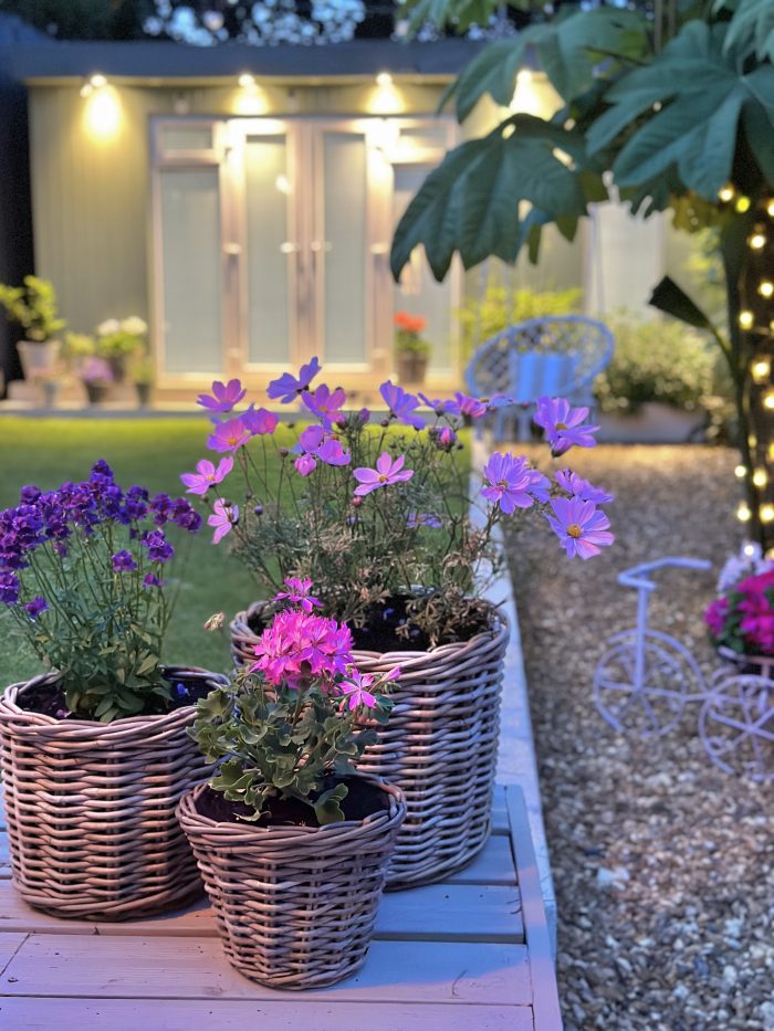 Wicker Planter Collection