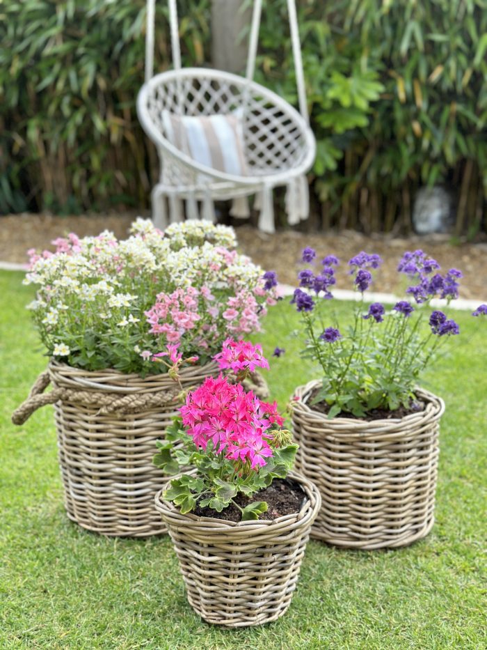 Wicker Planter Collection
