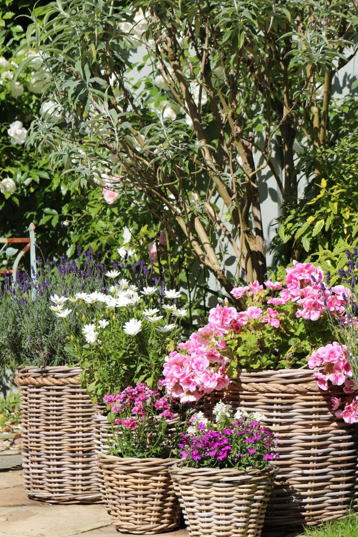 Wicker Planter Collection