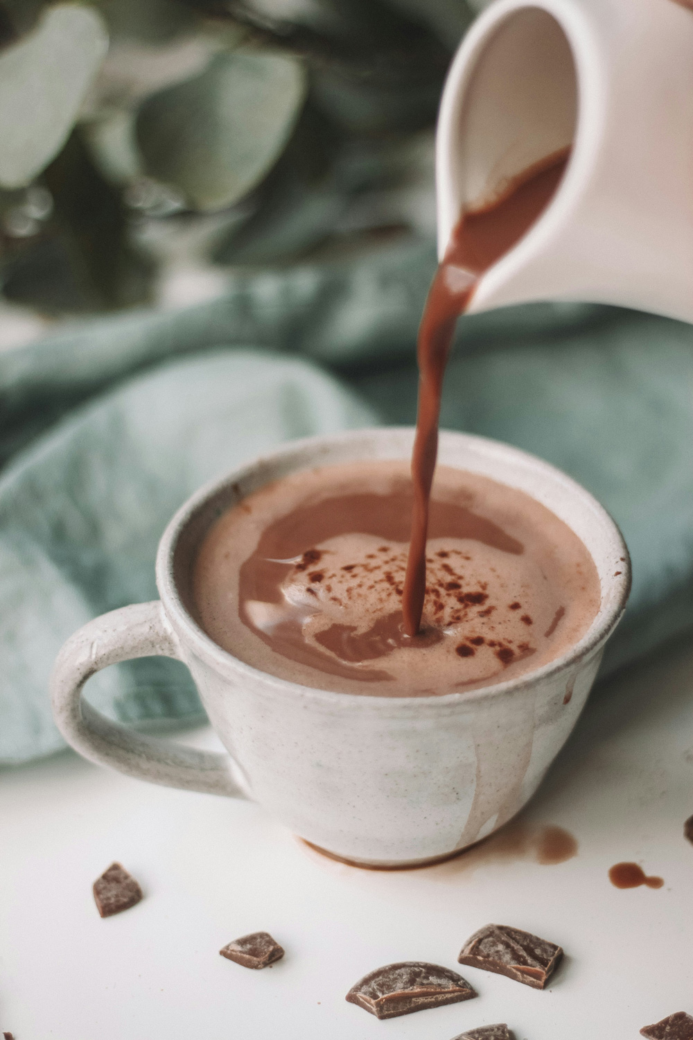 warm and comforting cup of hot chocolate