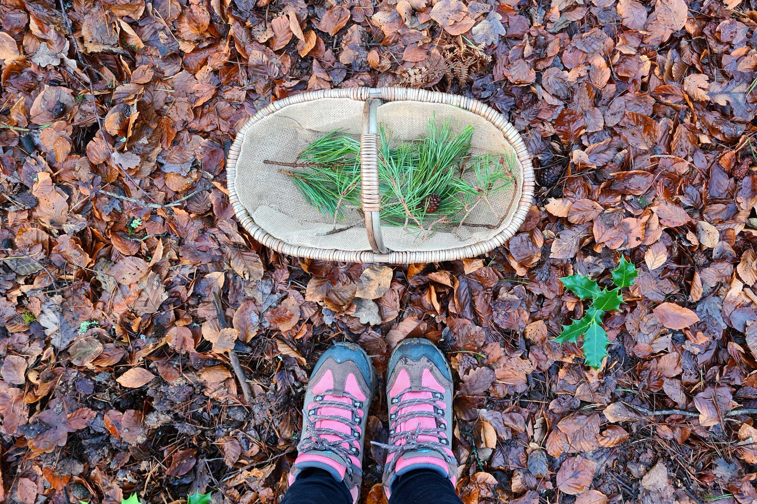 Overhead view of a wicker foraging basket with pine sprigs on forest floor beside pink hiking boots.