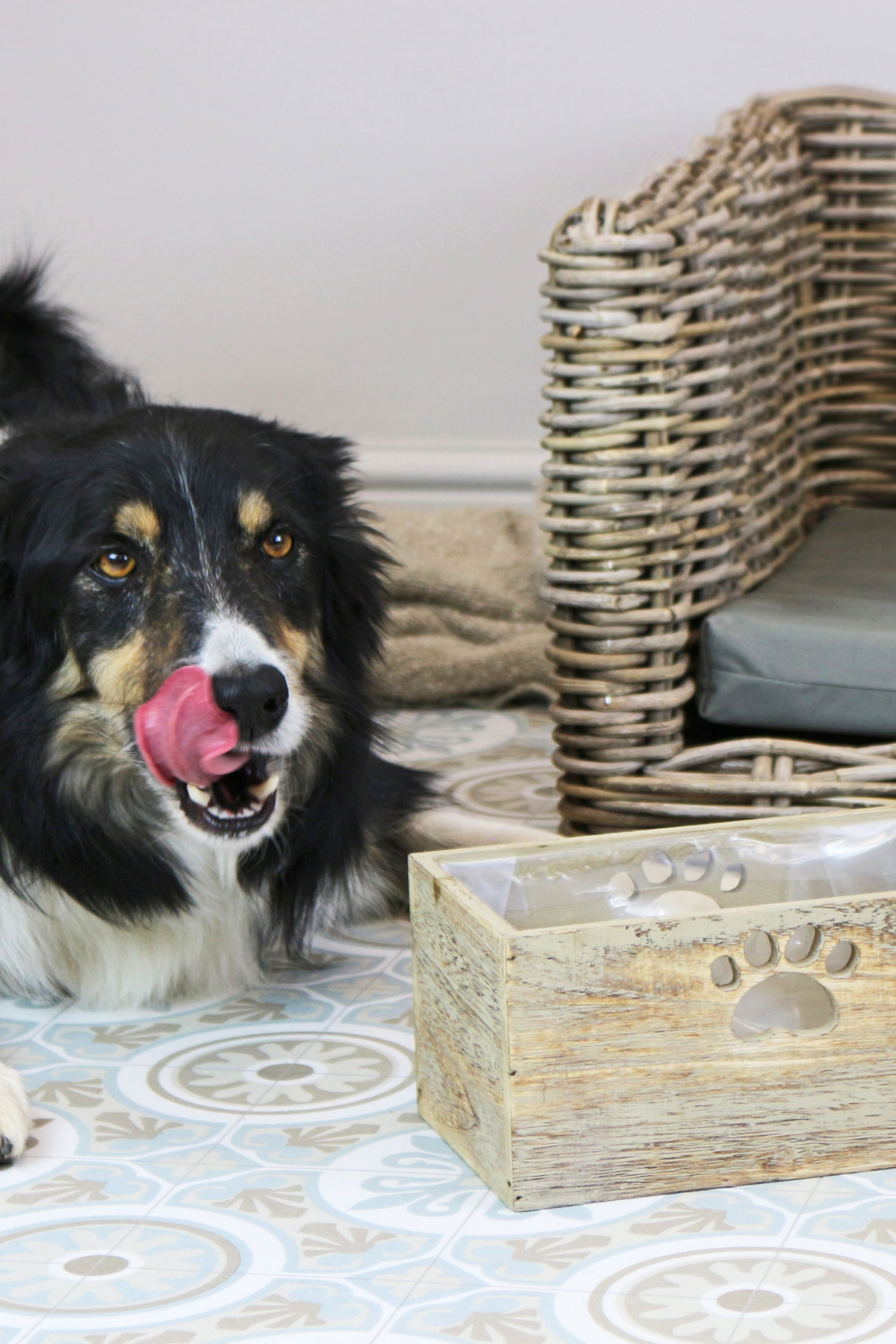 Wicker dog basket used for toy storage, adding a natural and organised solution for storing dog essentials at home.