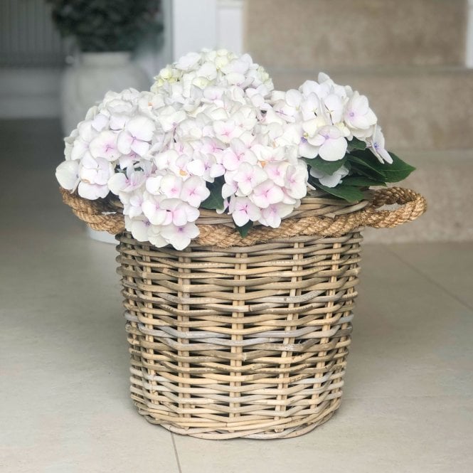 Grey & Buff Rattan Rope Handled Round Wicker Planter
