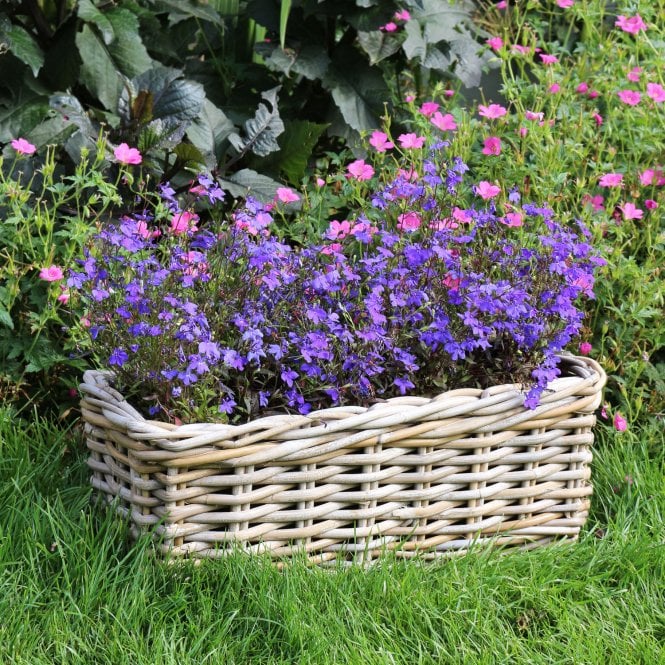 Grey & Buff Rattan Window Box Wicker Planter - 40cm 