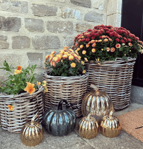 Rattan Planters