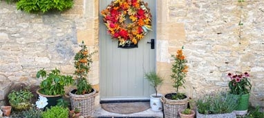 Plant Pots & Planters