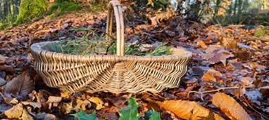 Trugs