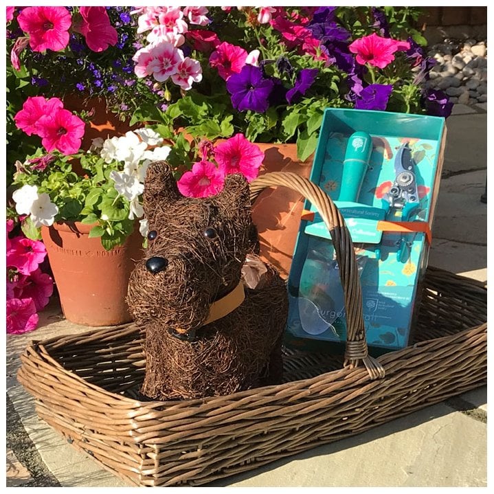 Win a Gardener's Bundle (Worth over £50)
