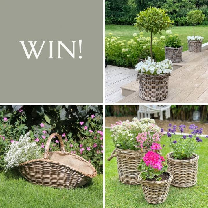 Flourish and Thrive Competition - WORTH OVER £300
